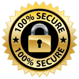 100% Secure logo